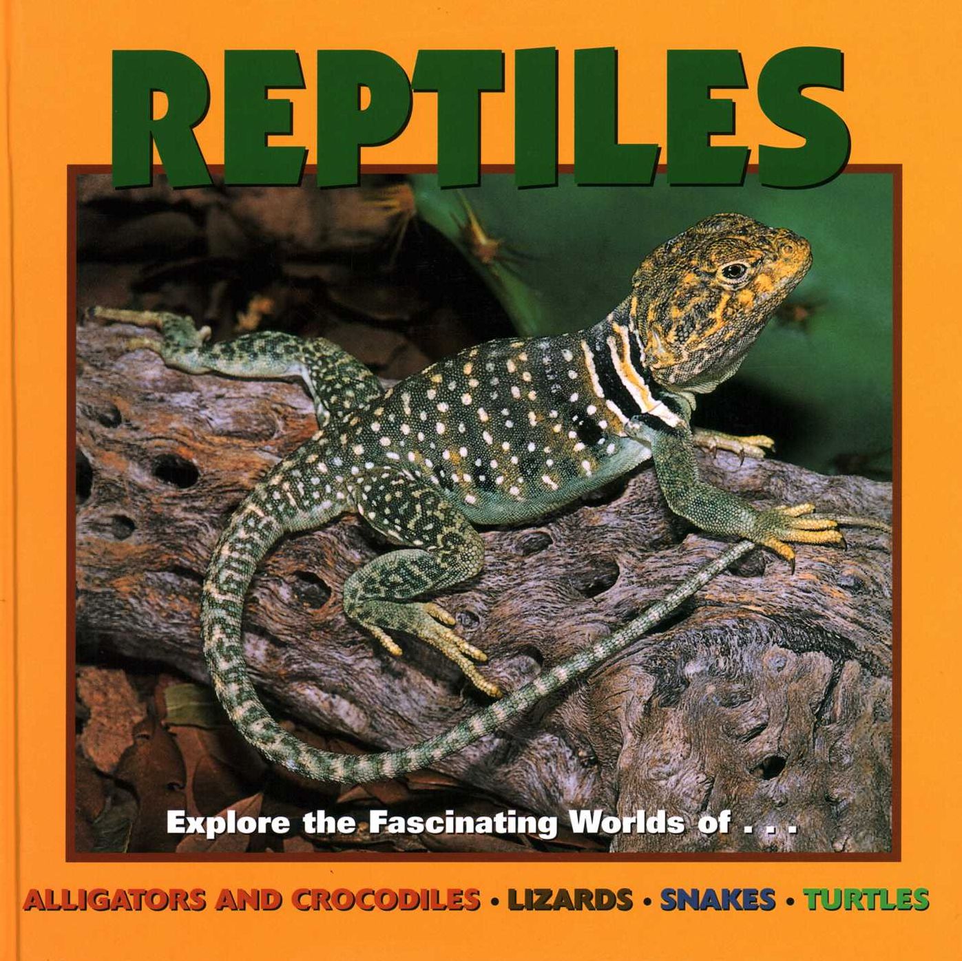 Reptiles: Explore the Fascinating Worlds of...Alligators And Crocodiles-Lizards-Snakes-Turtles