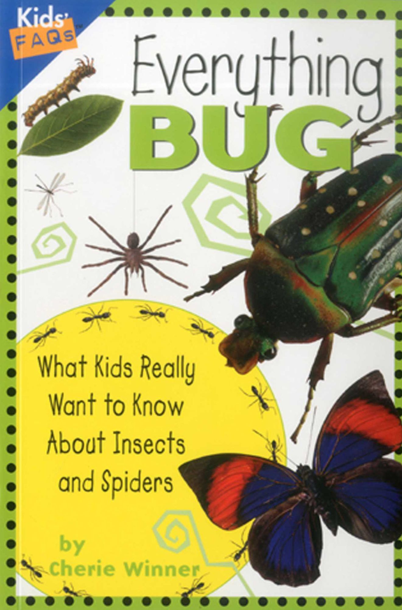 Everything Bug: What Kids Really Want to Know About Insects and Spiders