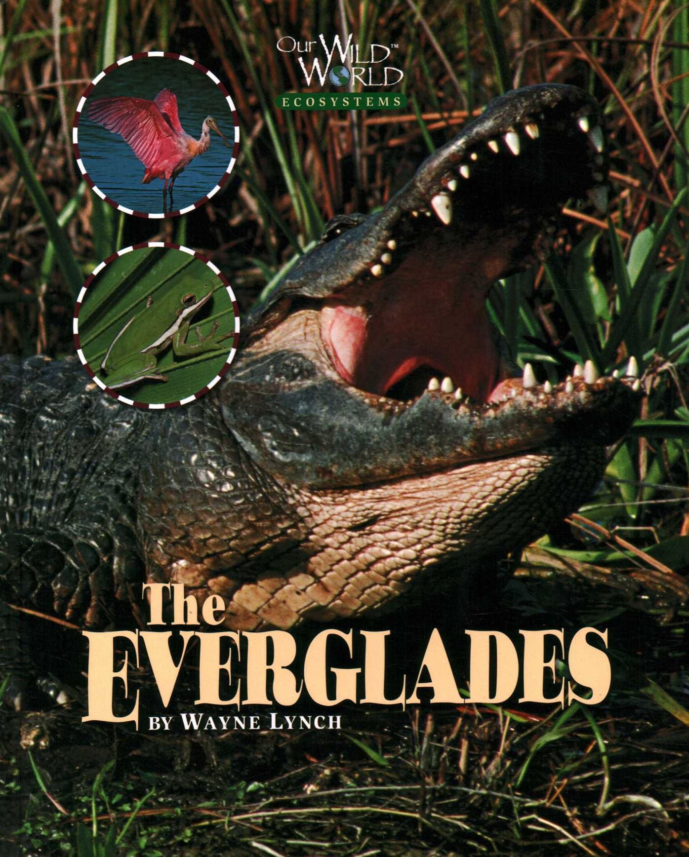 The Everglades