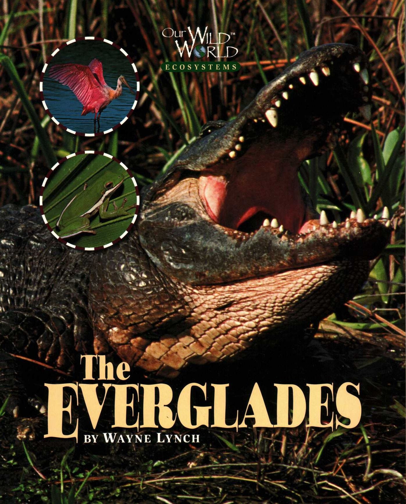 The Everglades