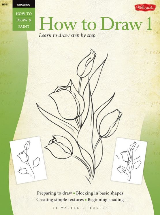 Drawing: How to Draw 1: Learn to paint step by step