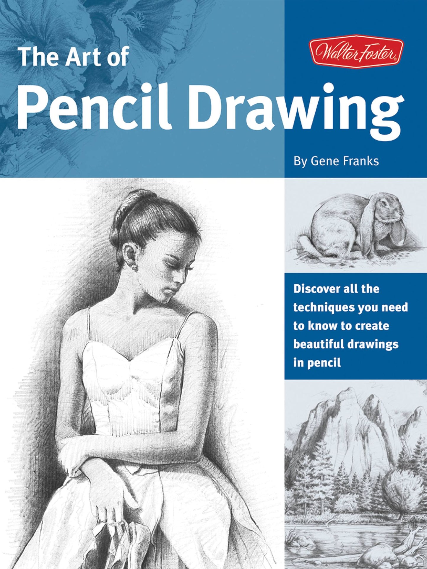 The Art of Pencil Drawing: Learn how to draw realistic subjects with pencil