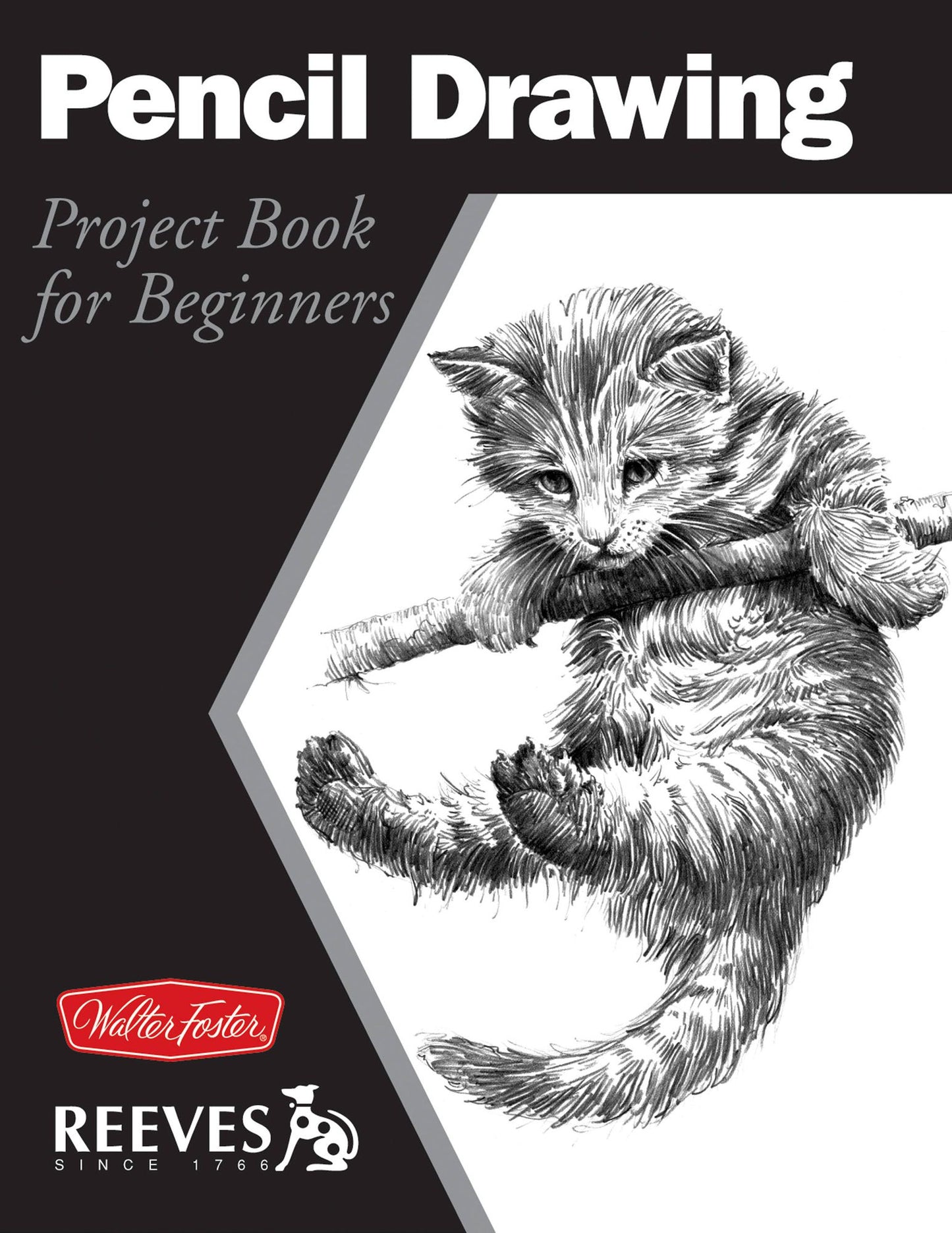 Pencil Drawing: Project book for beginners