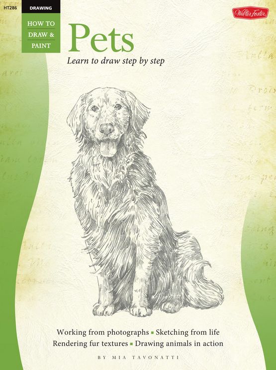 Drawing: Pets: Learn to paint step by step