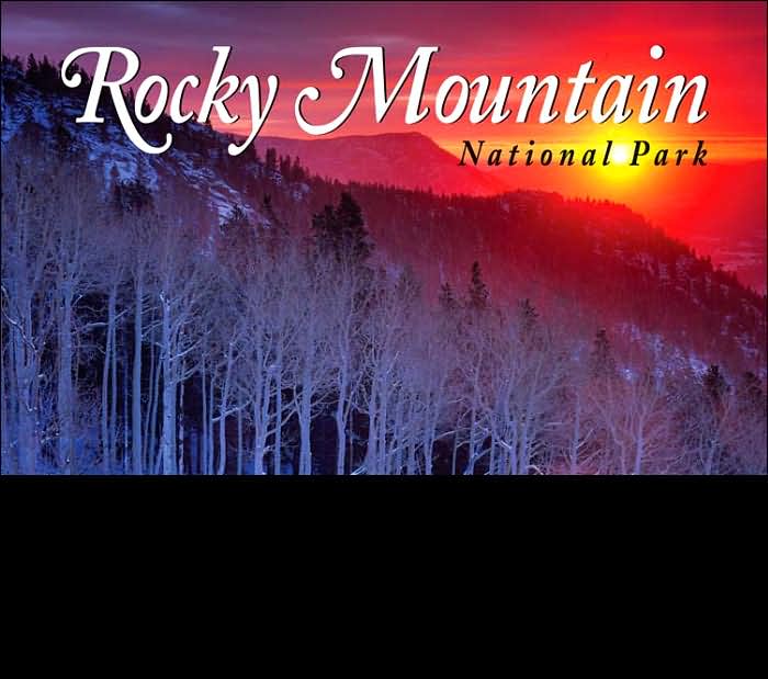Rocky Mountain National Park Impressions