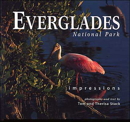 Everglades National Park Impressions