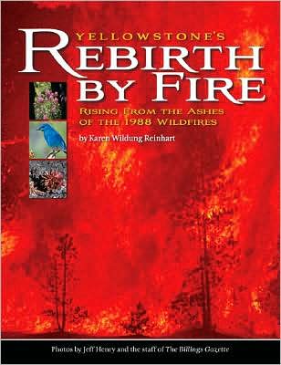 Yellowstone's Rebirth by Fire: Rising from the Ashes of the 1988 Wildfires
