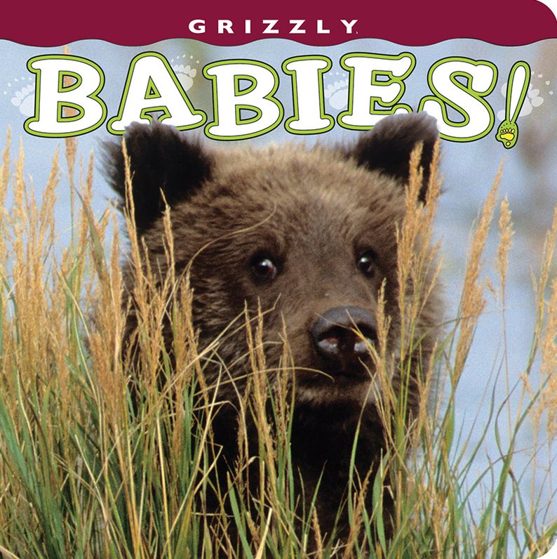 Grizzly Babies!