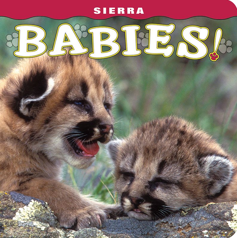 Sierra Babies