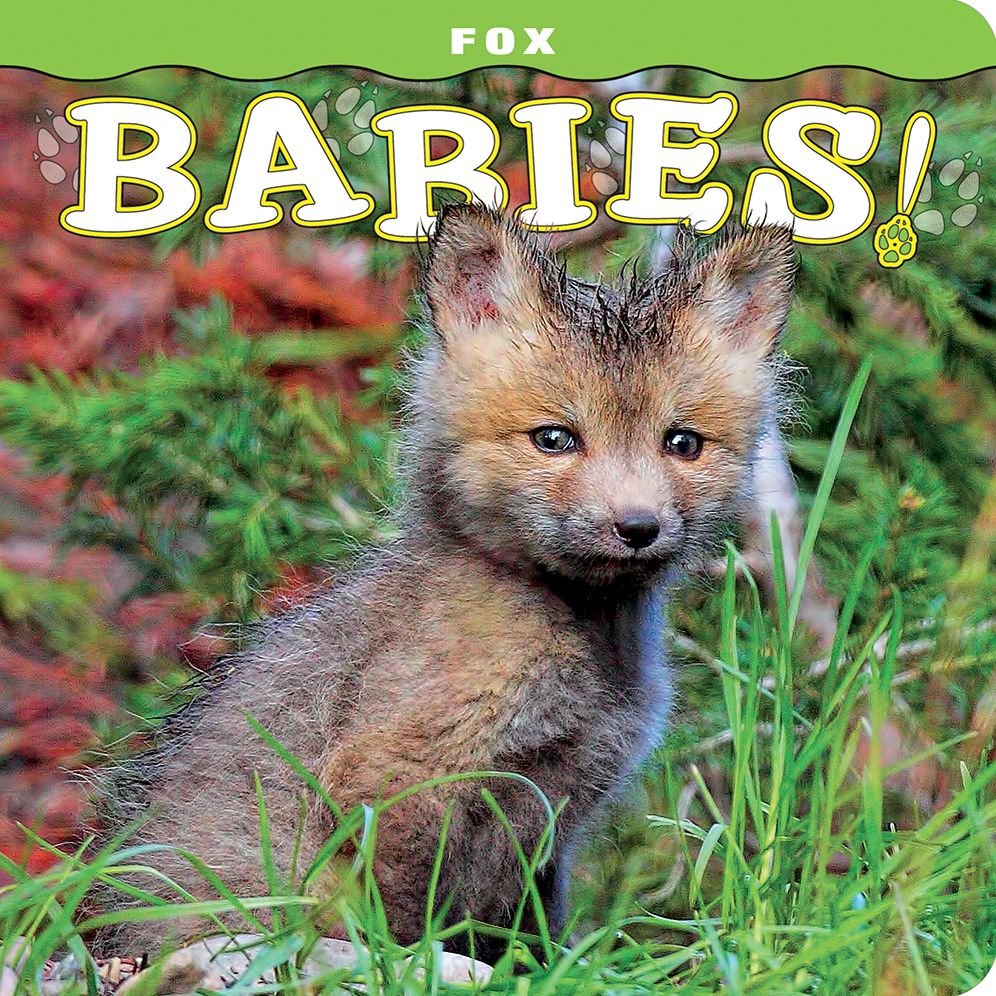 Fox Babies!