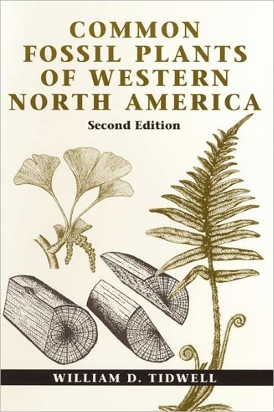 Common Fossil Plants of Western North America