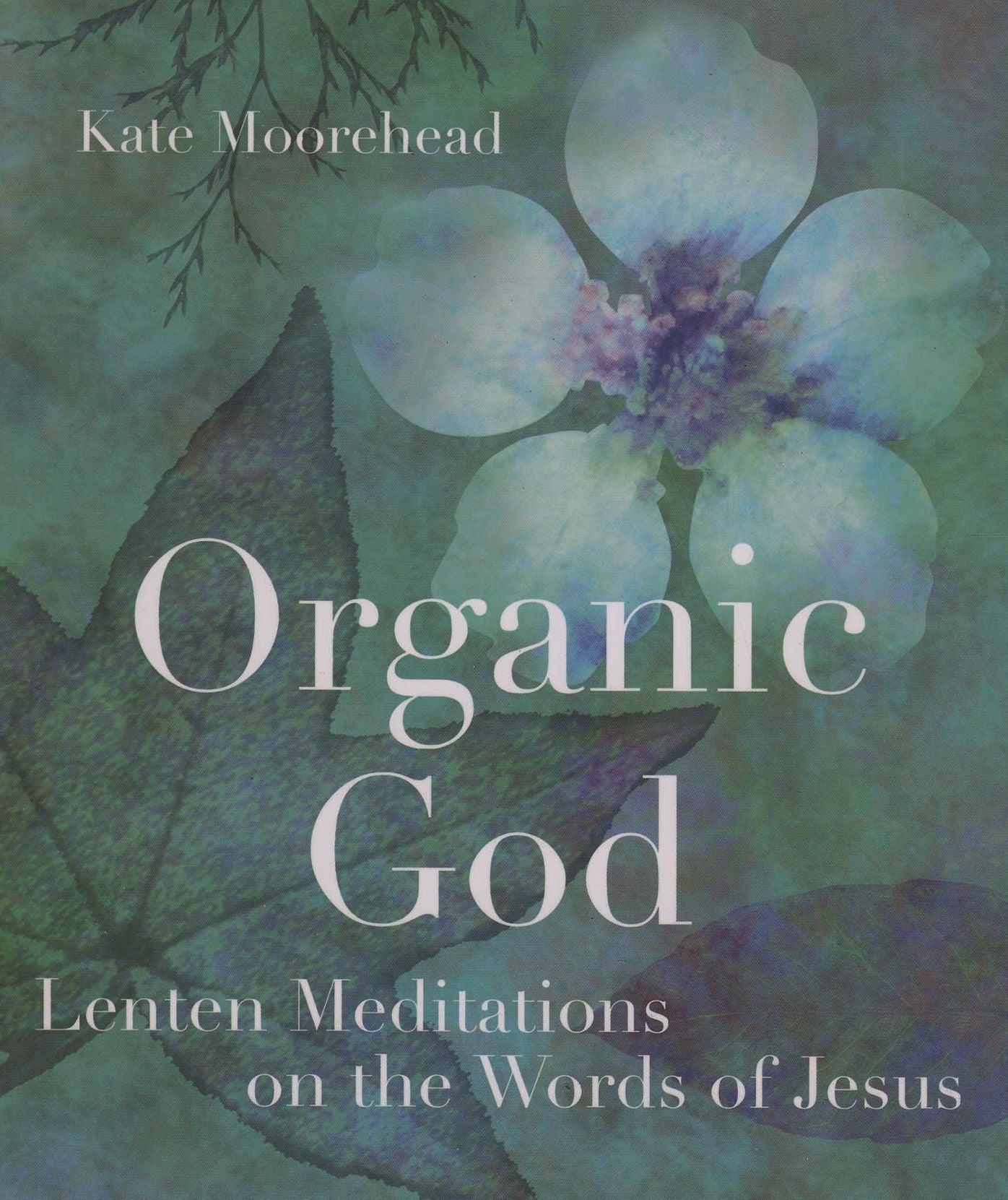 Organic God: Lenten Meditations on the Worlds of Jesus