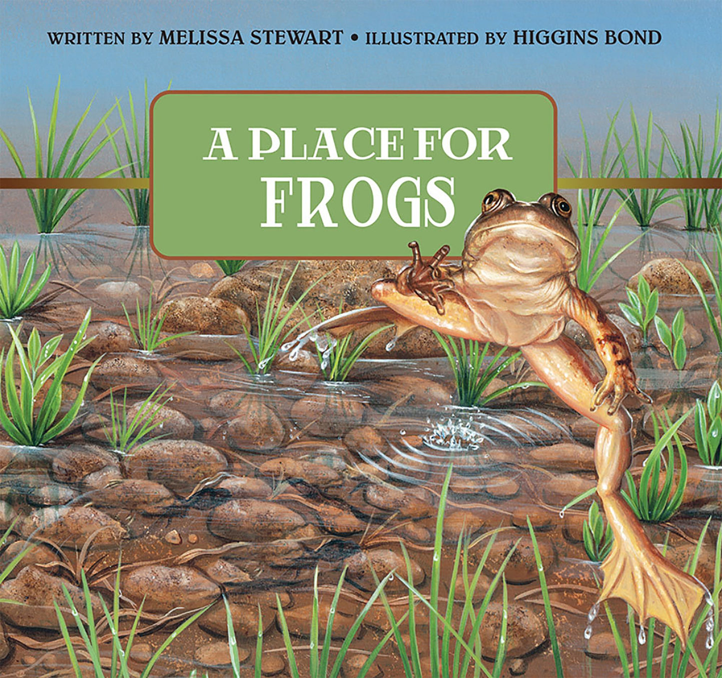 A Place for Frogs (A Place for Series)