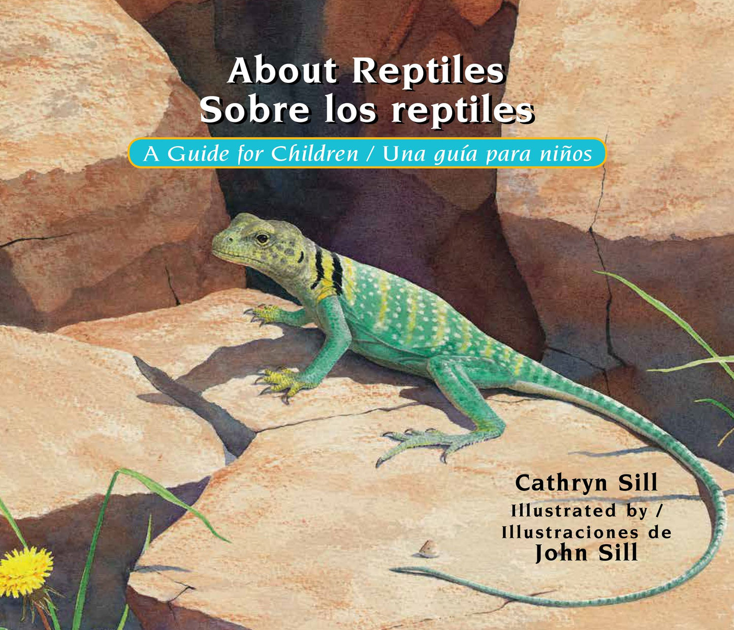 About Reptiles/Sobre los reptiles: A Guide for Children/Una guia para ninos