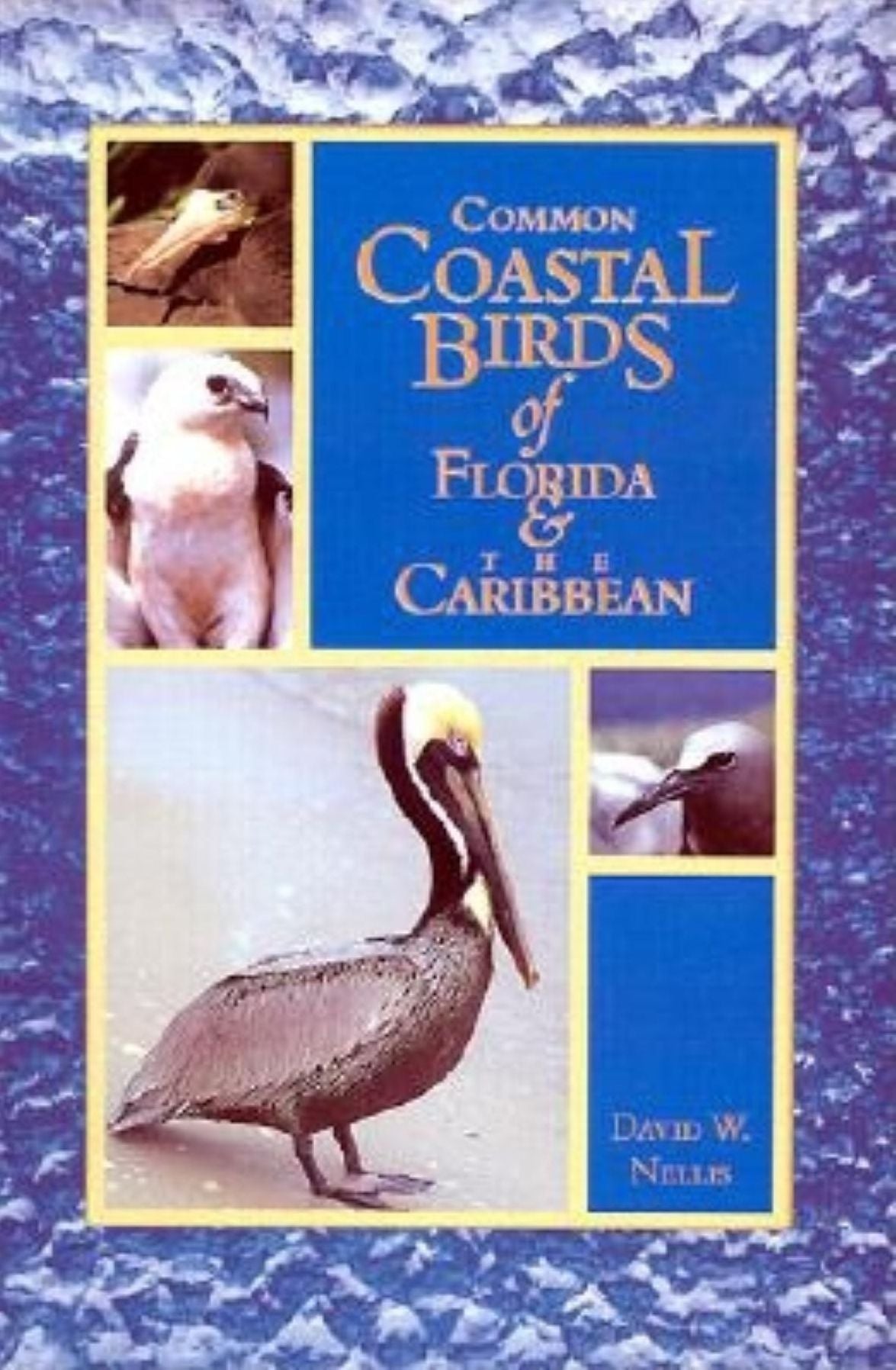 Common Coastal Birds of Florida and the Caribbean