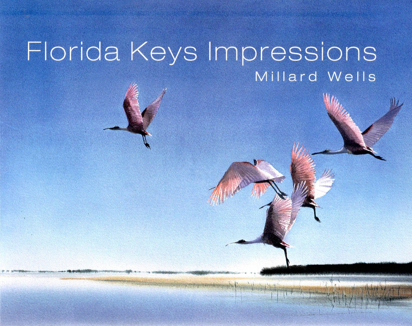 Florida Keys Impressions