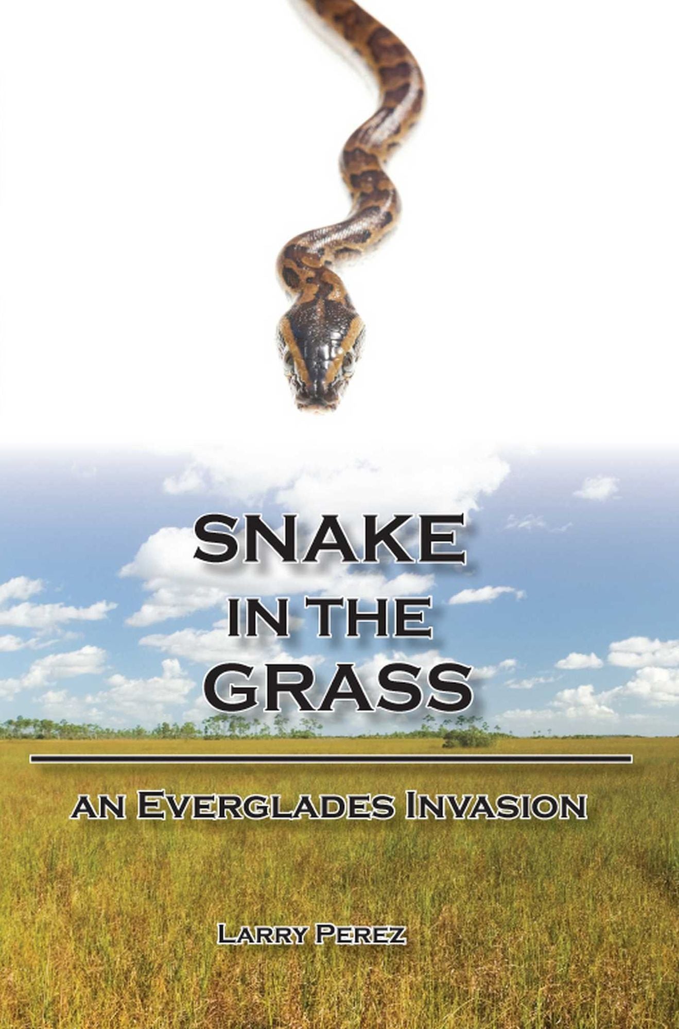 Snake in the Grass: An Everglades Invasion