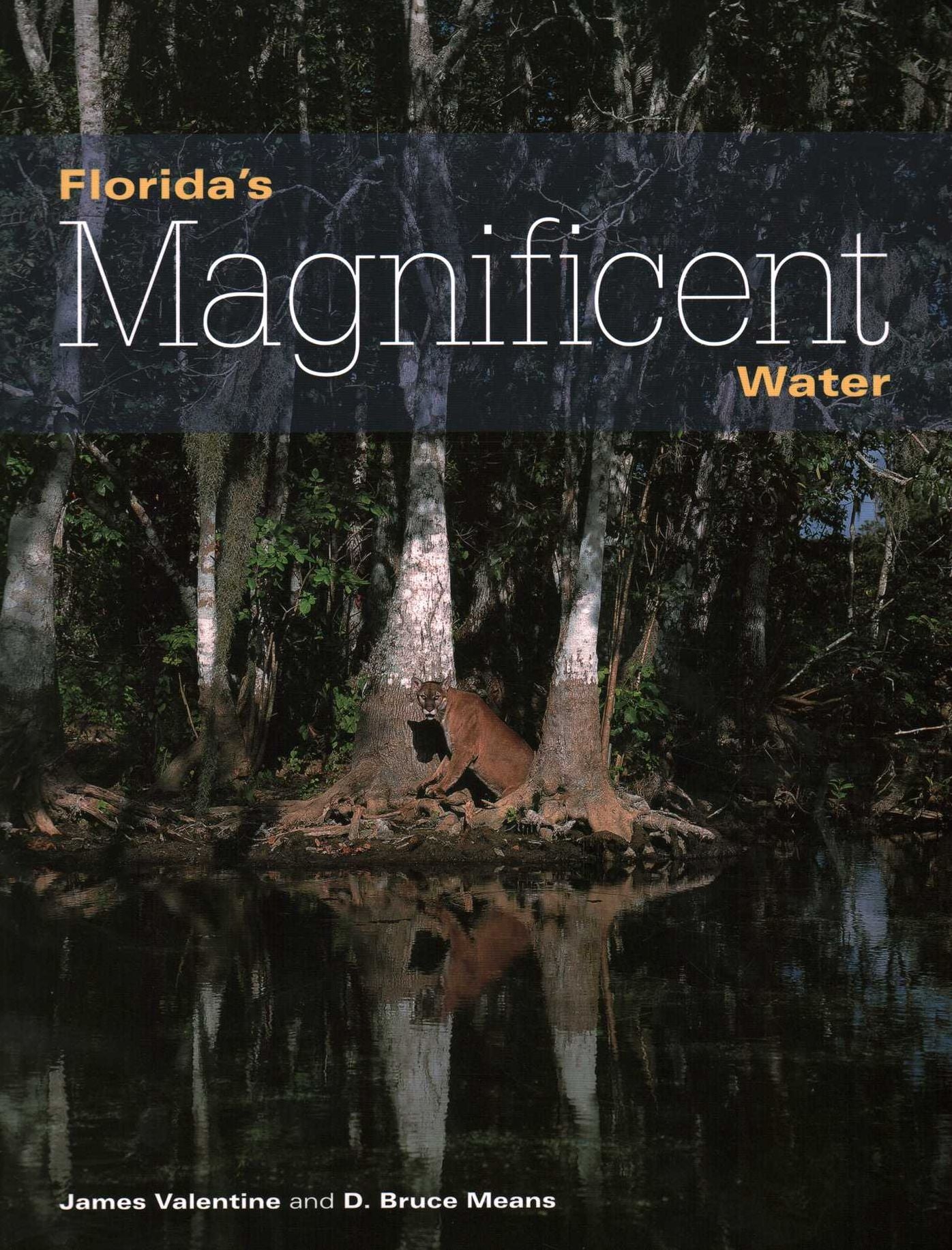 Florida's Magnificent Water