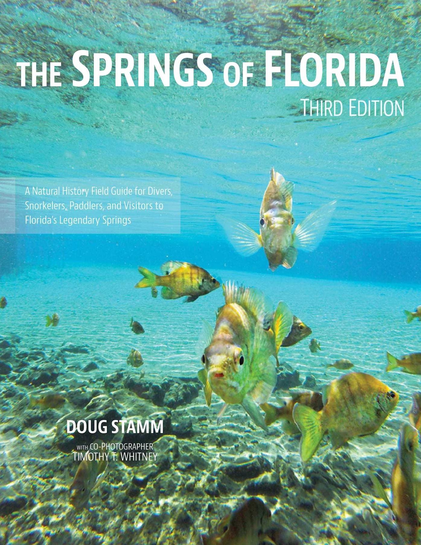 The Springs of Florida