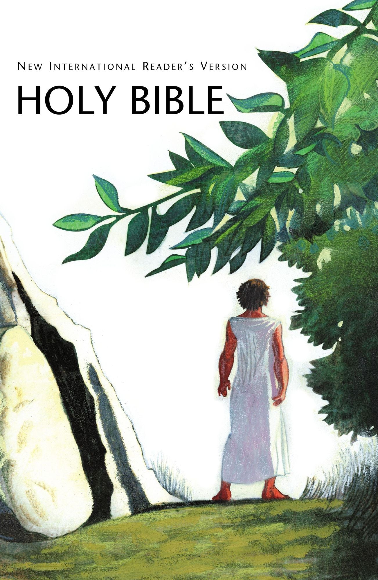 Holy Bible : Nirv Holy Bible for Kids