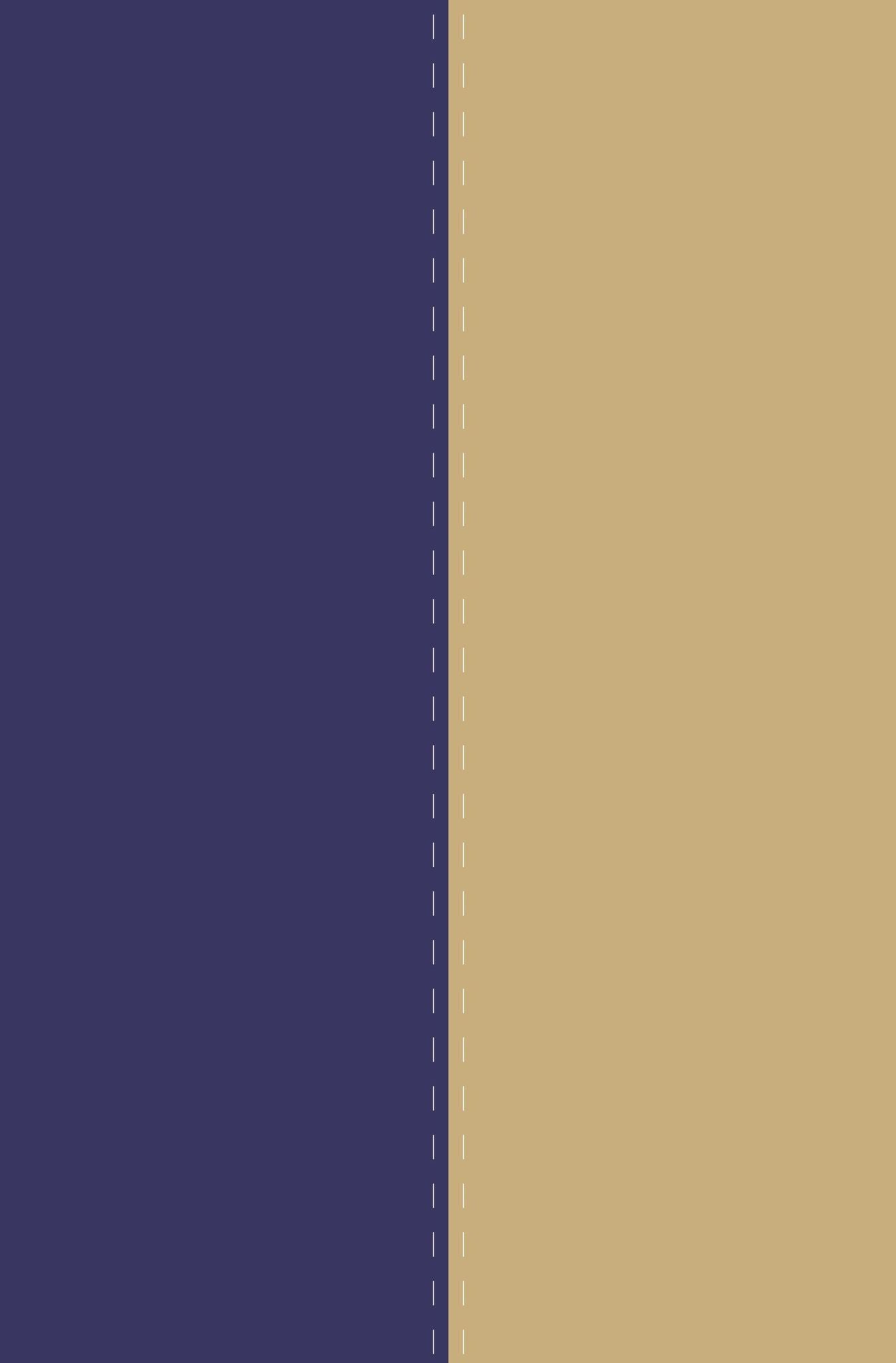NVI / NIV Spanish/English Bible ? Blue DuoTone Leather
