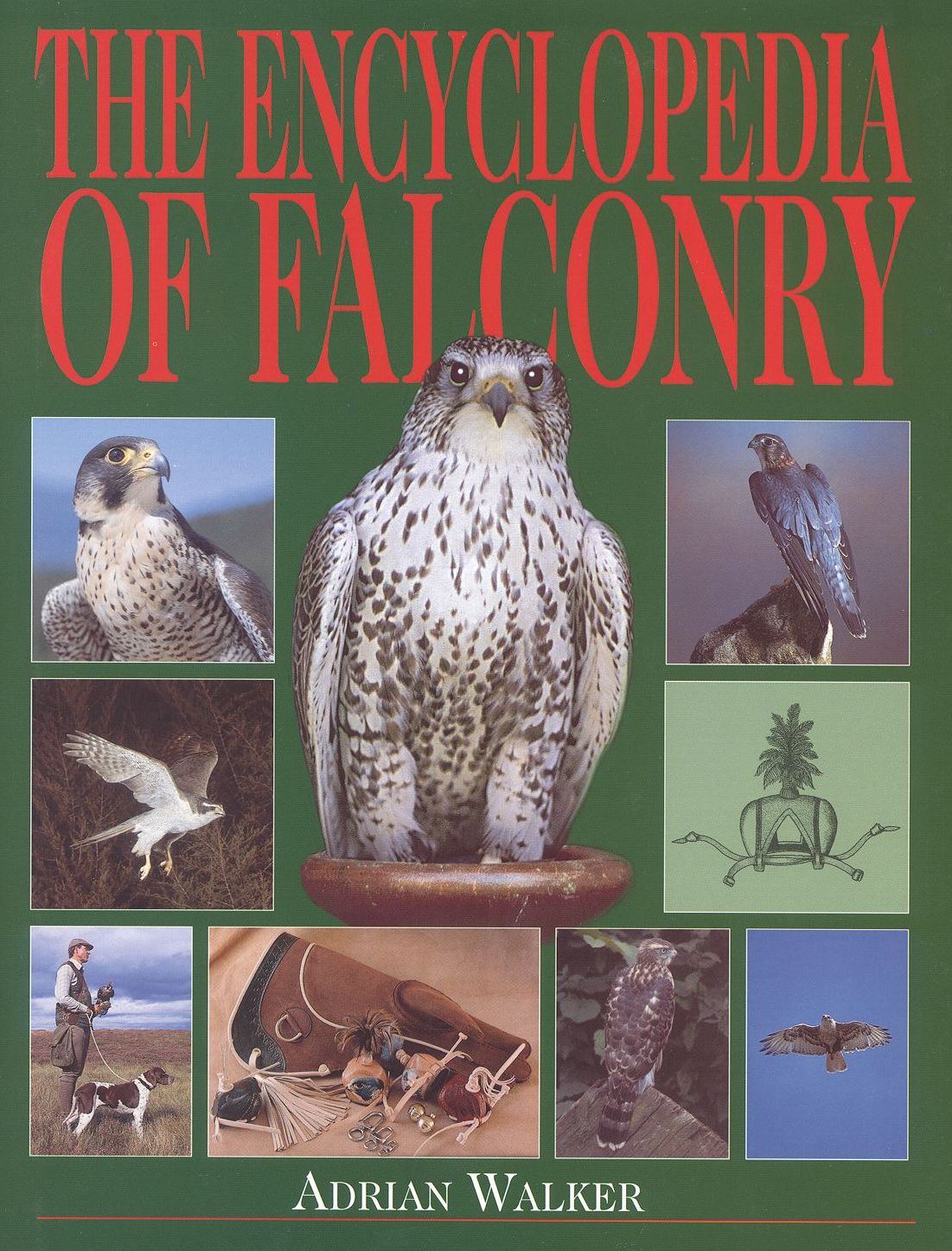 Encyclopedia of Falconry