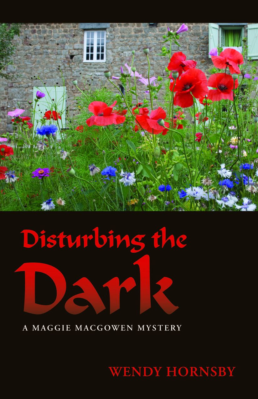 Disturbing the Dark: A Maggie MacGowen Mystery