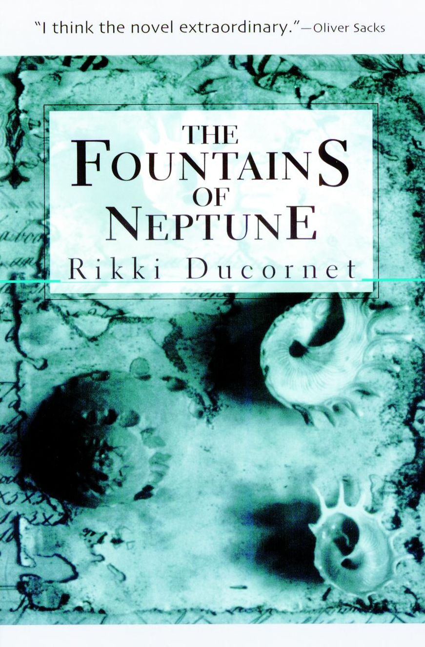 The Fountains of Neptune