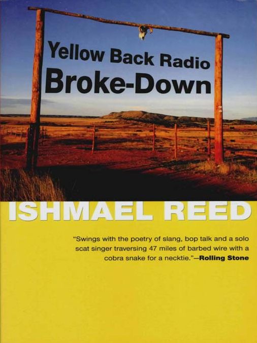 Yellow Back Radio Broke-Down