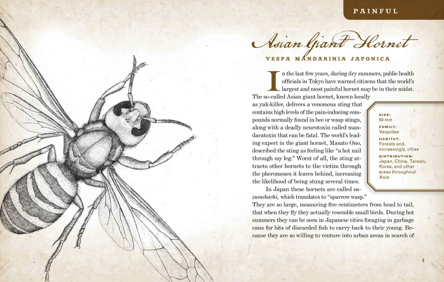 Wicked Bugs: The Louse That Conquered Napoleon's Army and Other Diabolical Insects