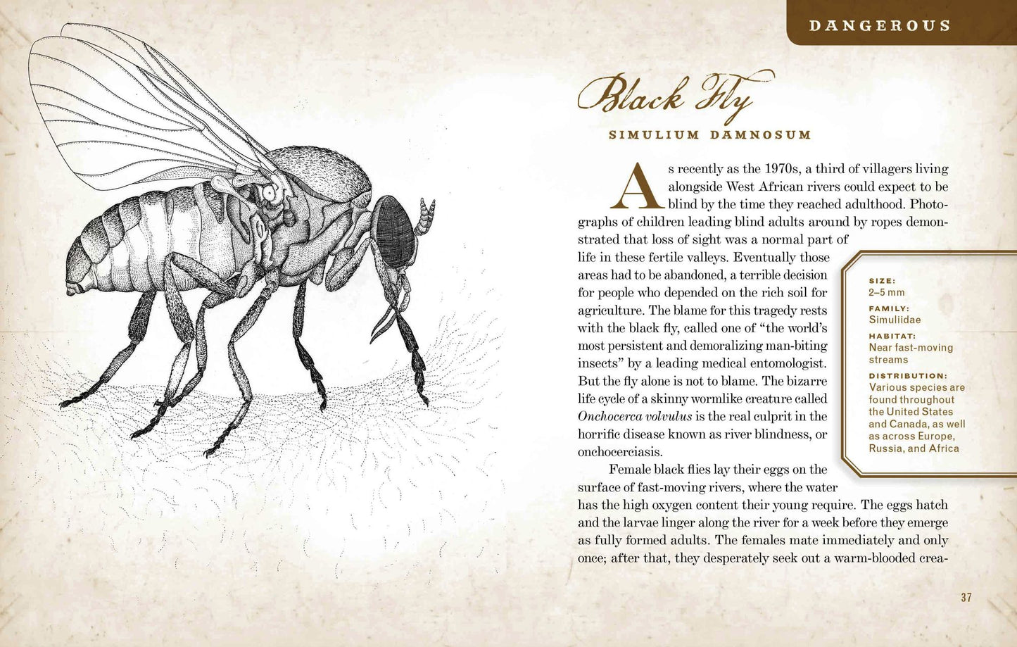 Wicked Bugs: The Louse That Conquered Napoleon's Army and Other Diabolical Insects