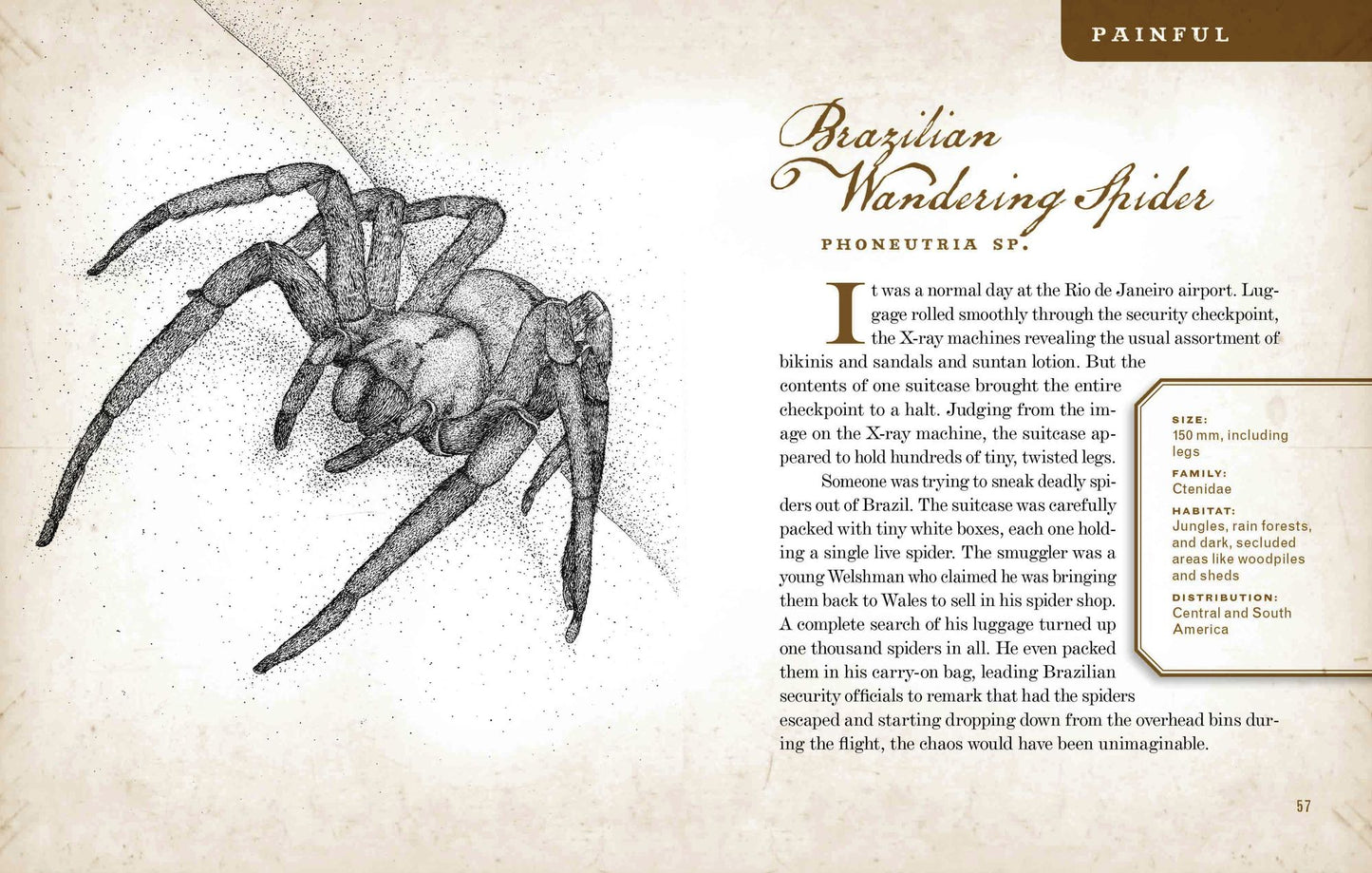 Wicked Bugs: The Louse That Conquered Napoleon's Army and Other Diabolical Insects