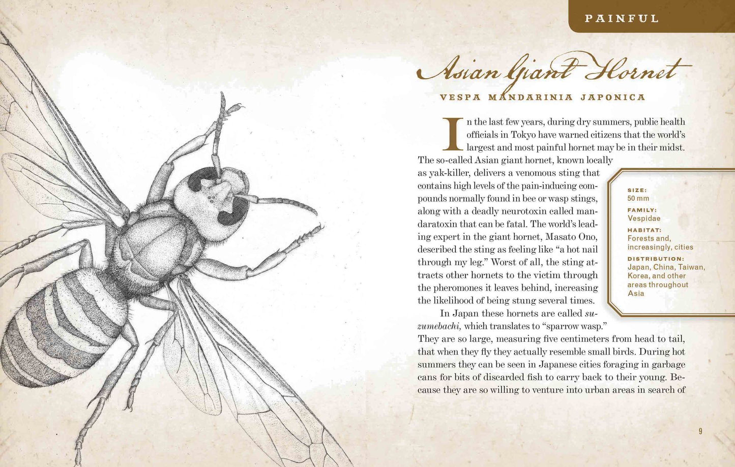 Wicked Bugs: The Louse That Conquered Napoleon's Army and Other Diabolical Insects