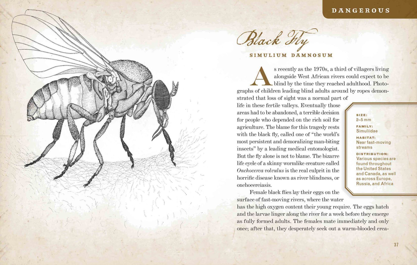 Wicked Bugs: The Louse That Conquered Napoleon's Army and Other Diabolical Insects