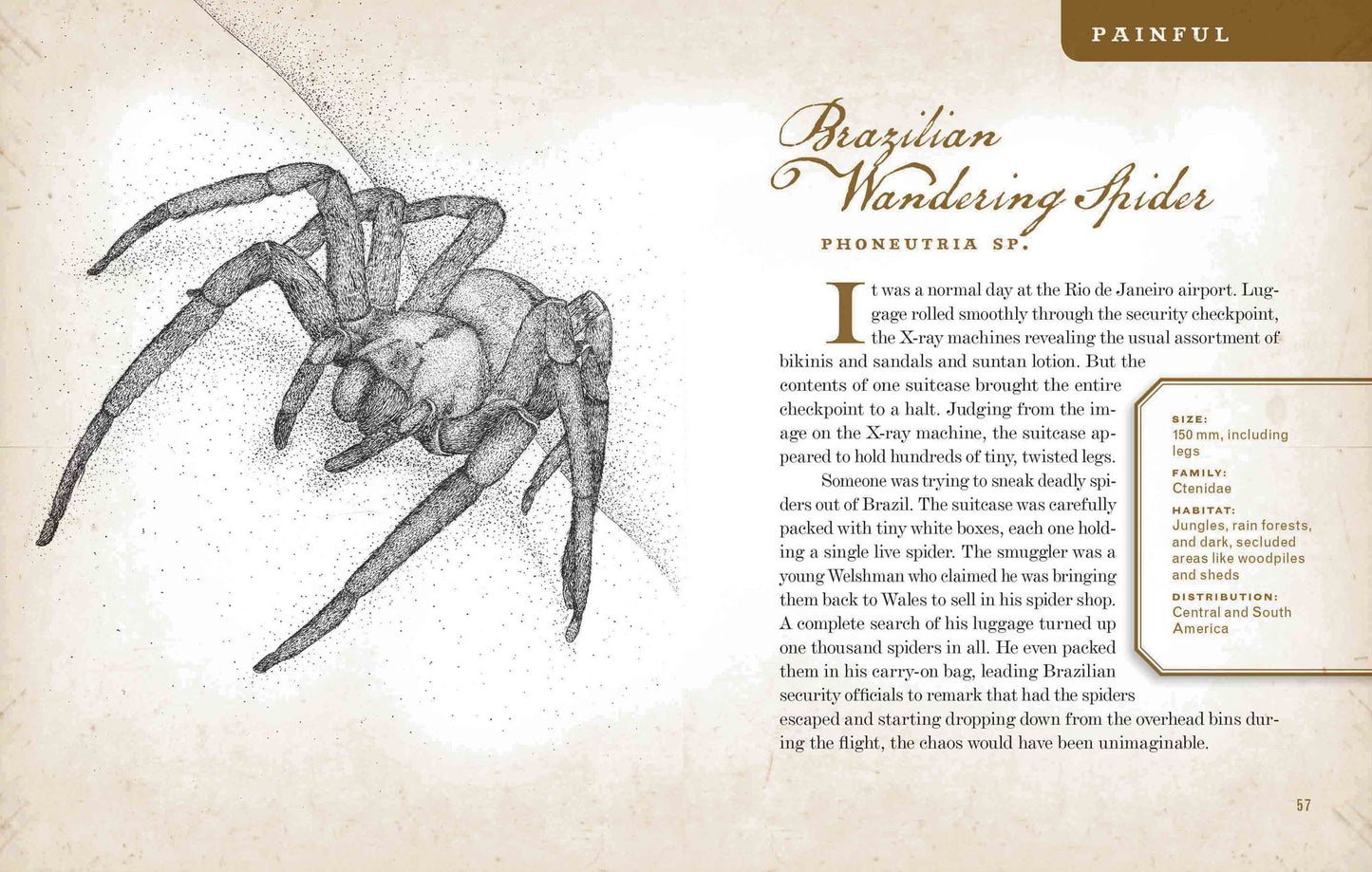 Wicked Bugs: The Louse That Conquered Napoleon's Army and Other Diabolical Insects
