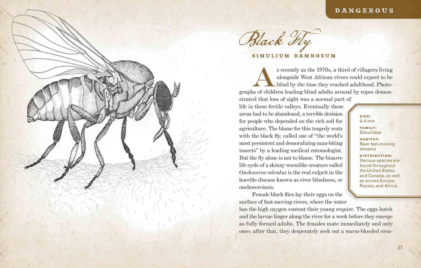 Wicked Bugs: The Louse That Conquered Napoleon's Army and Other Diabolical Insects
