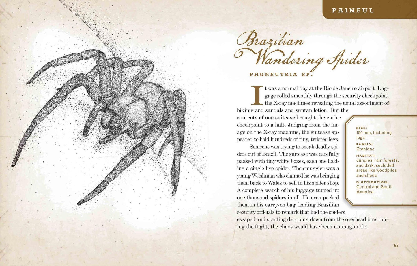 Wicked Bugs: The Louse That Conquered Napoleon's Army and Other Diabolical Insects