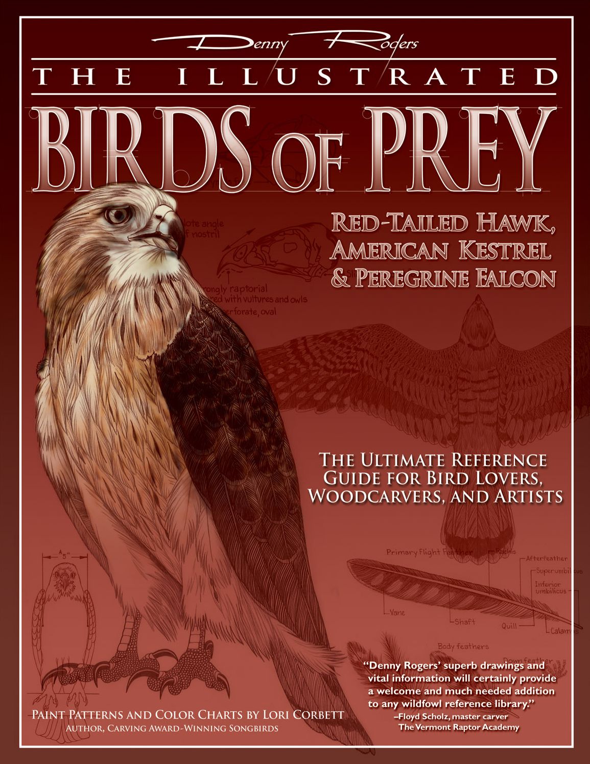 Illustrated Birds of Prey: Red-Tailed Hawk, American Kestrel & Peregrine Falcon: The Ultimate Reference Guide for Bird Lovers, Artists, and Woodcarvers