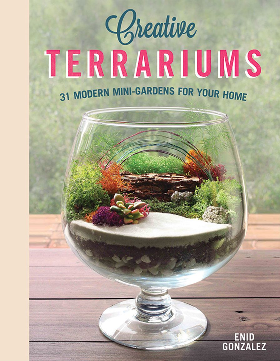 Creative Terrariums: 31 Modern Mini-Gardens for Your Home