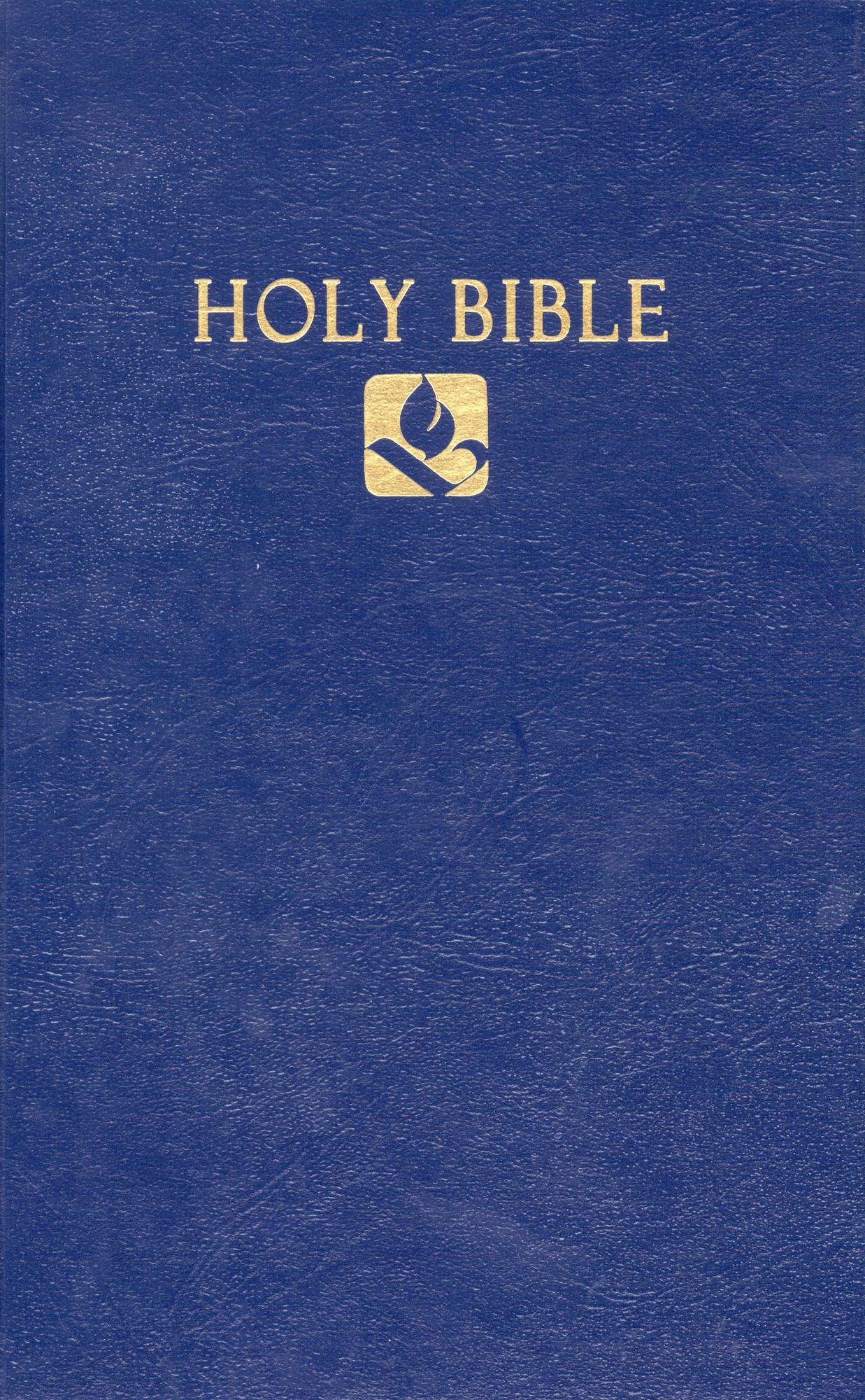 NRSV Pew Bible: New Revised Standard Version, Blue