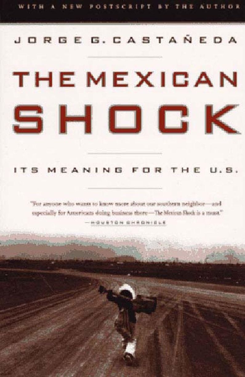 Mexican Shock: Its Meaning for the U. S.