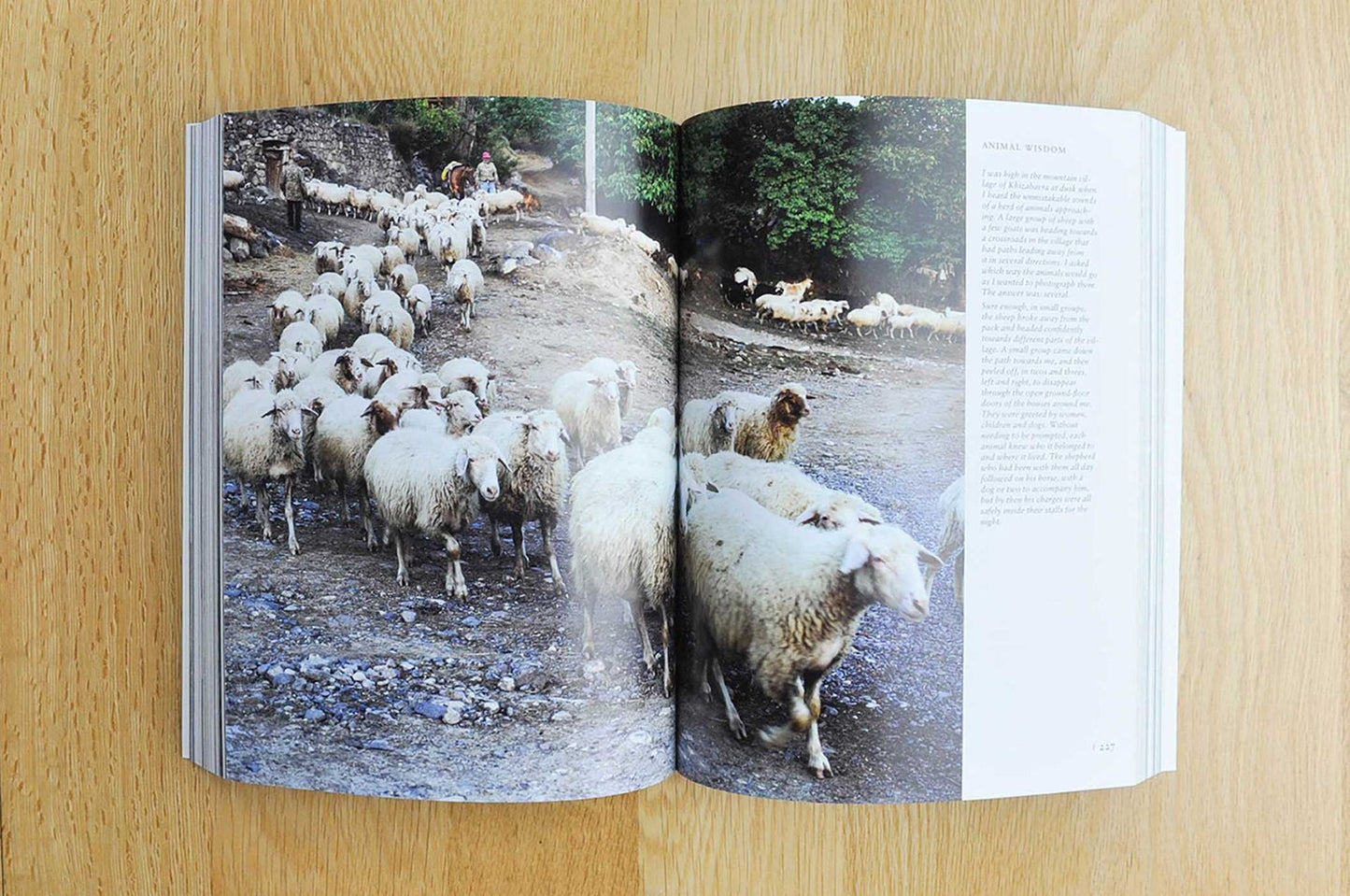 Tasting Georgia: A Food and Wine Journey in the Caucasus With Over 80 Recipes