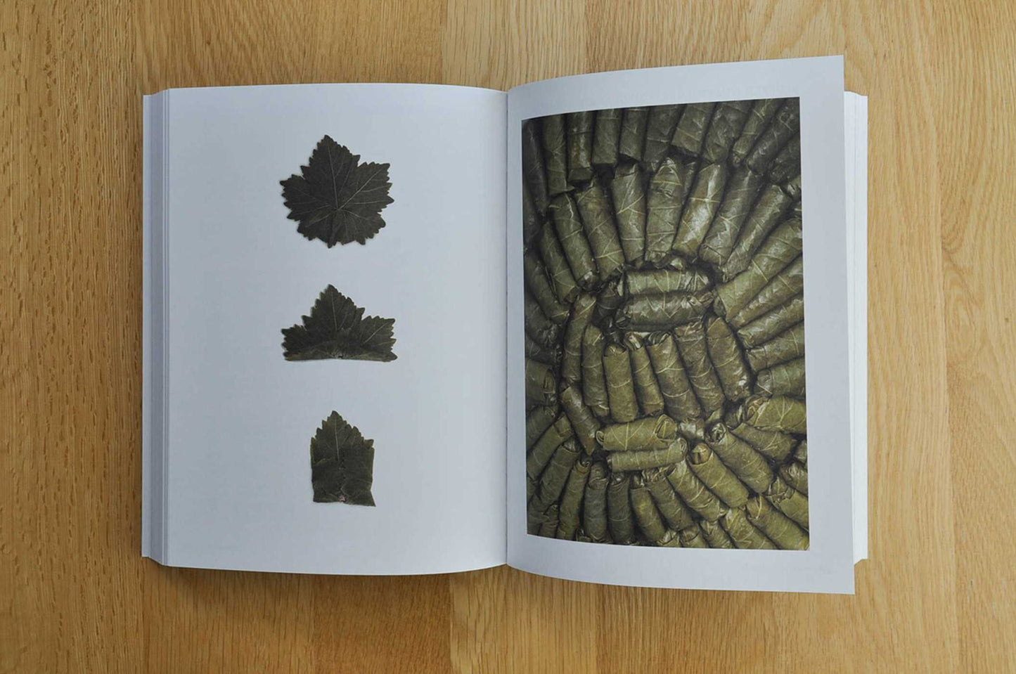 The Aleppo Cookbook: Celebrating the Legendary Cuisine of Syria