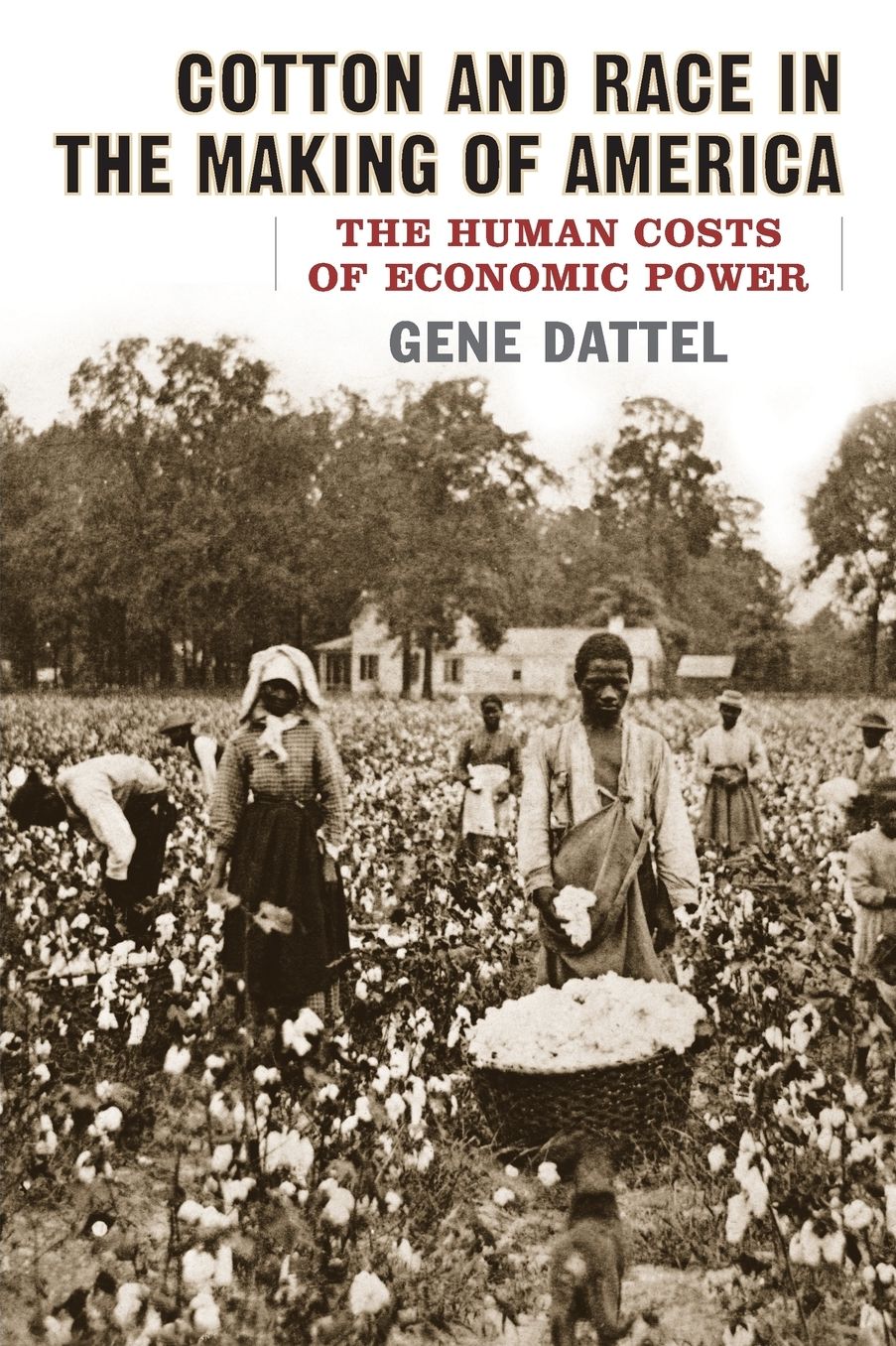 Cotton and Race in the Making of America: The Human Costs of Economic Power