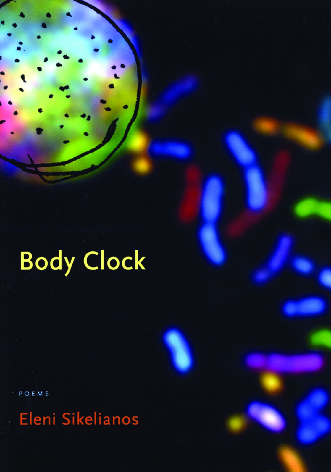 Body Clock