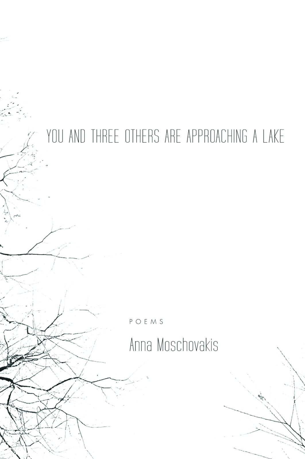 You and Three Others Are Approaching a Lake