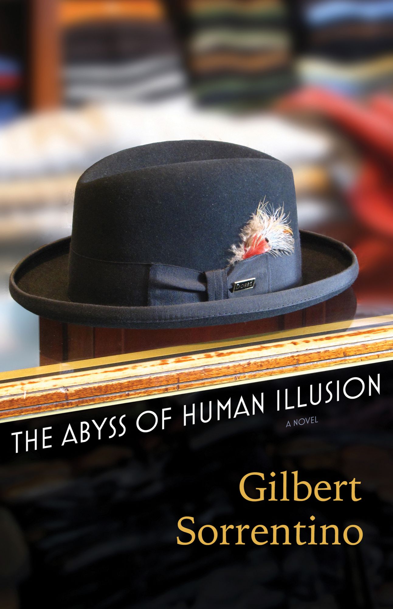 The Abyss of Human Illusion: A Novel