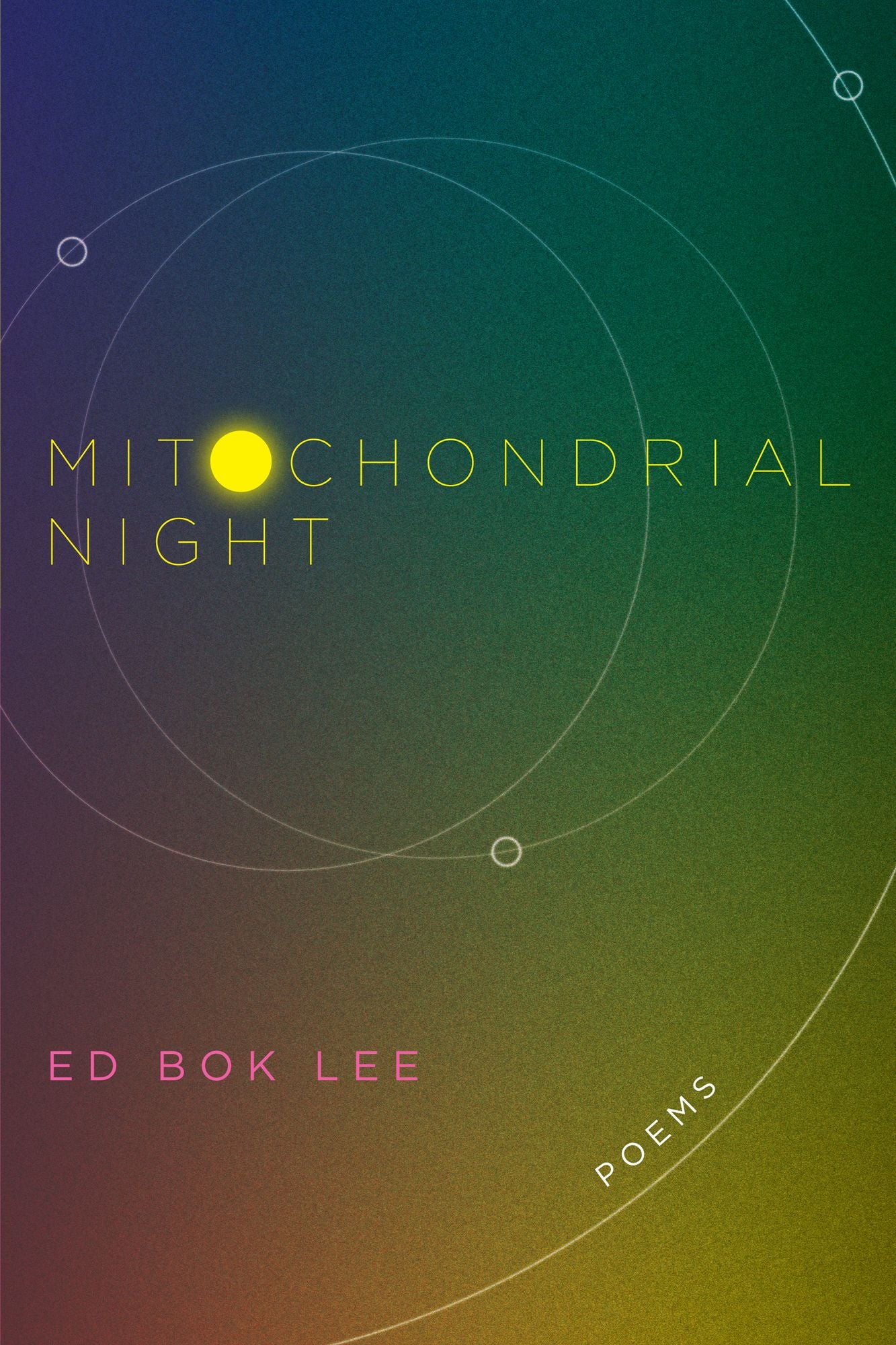 Mitochondrial Night