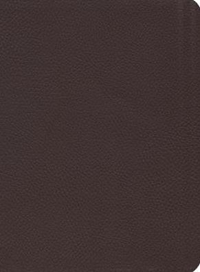 Reformation Study Bible-NKJV