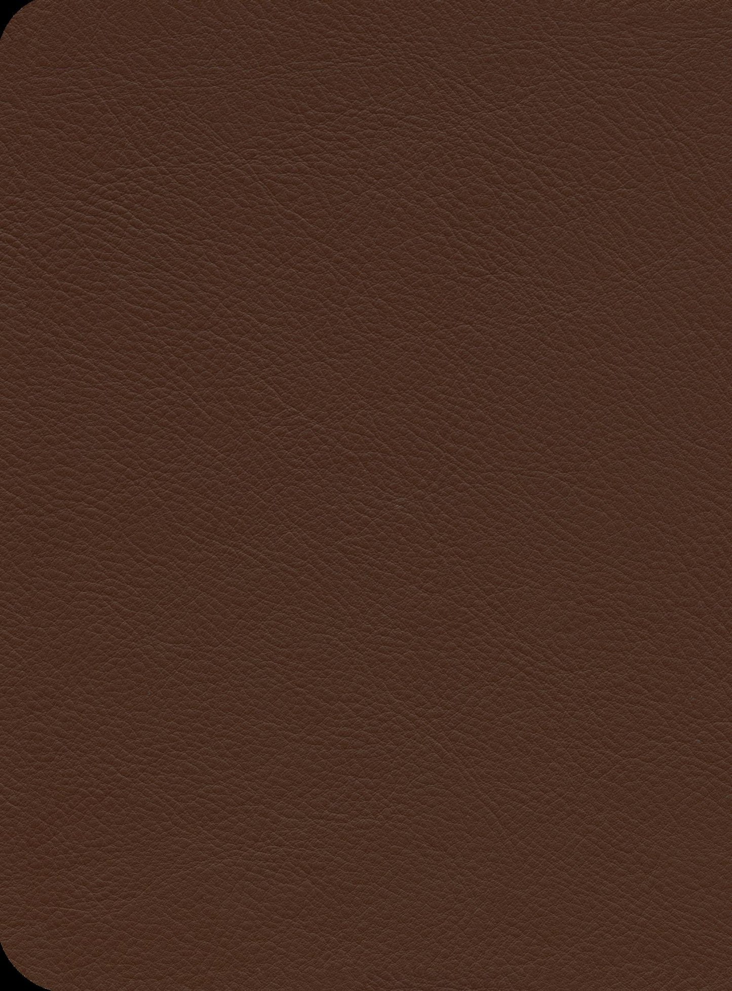 Reformation Study Bible-ESV